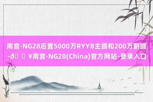 南宫·NG28后置5000万RYYB主摄和200万副摄-🔥南宫·NG28(China)官方网站-登录入口